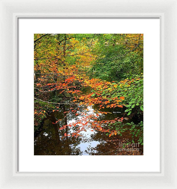 Framed Print - Fall Is In The Air