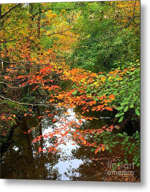 Metal Print - Fall Is In The Air