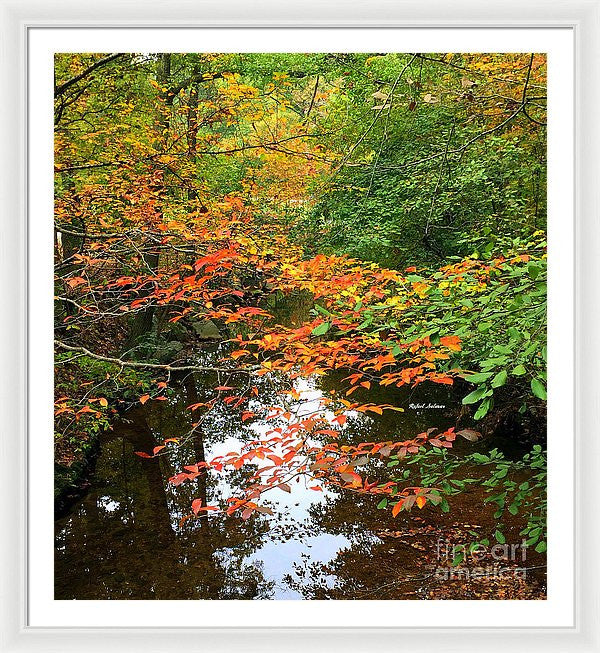 Framed Print - Fall Is In The Air