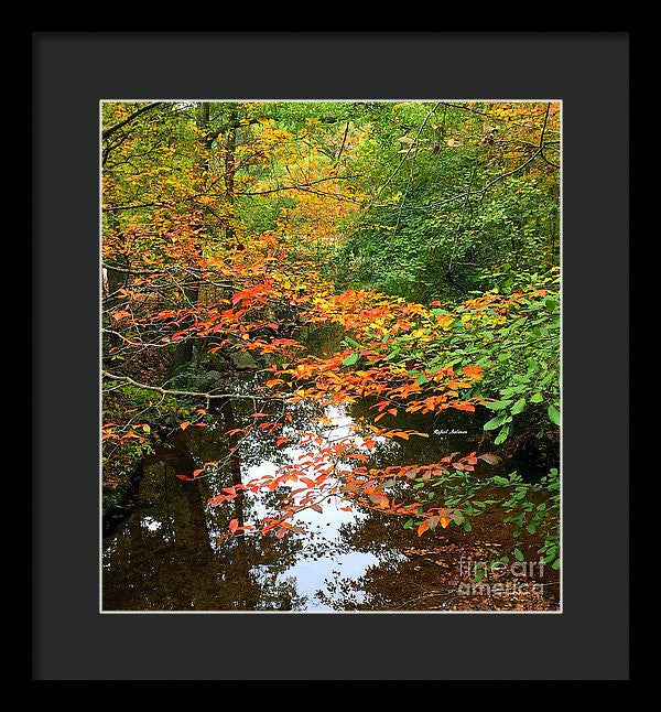 Framed Print - Fall Is In The Air