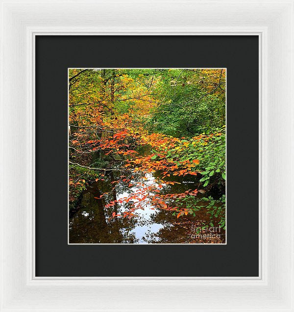 Framed Print - Fall Is In The Air