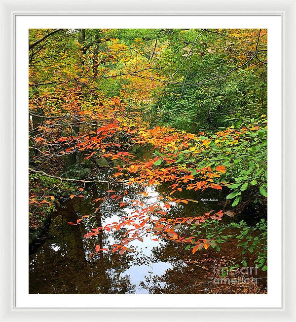 Framed Print - Fall Is In The Air