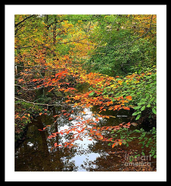 Framed Print - Fall Is In The Air