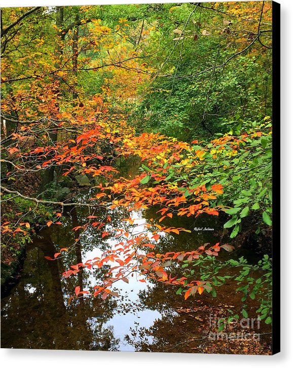 Canvas Print - Fall Is In The Air
