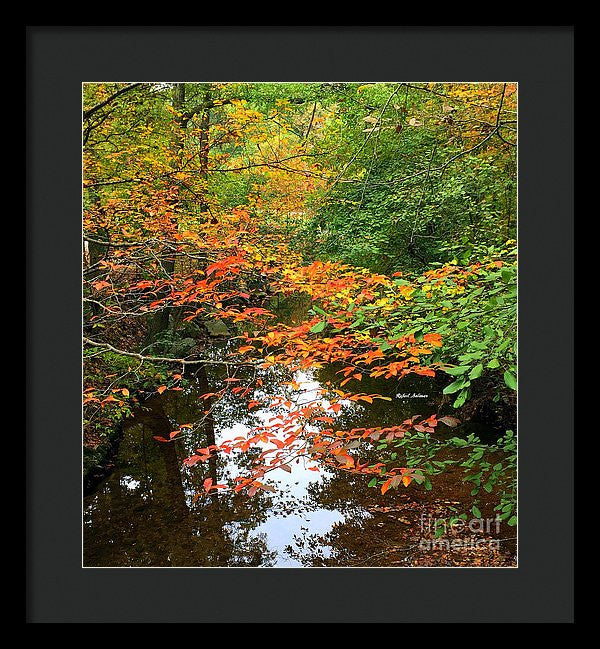 Framed Print - Fall Is In The Air