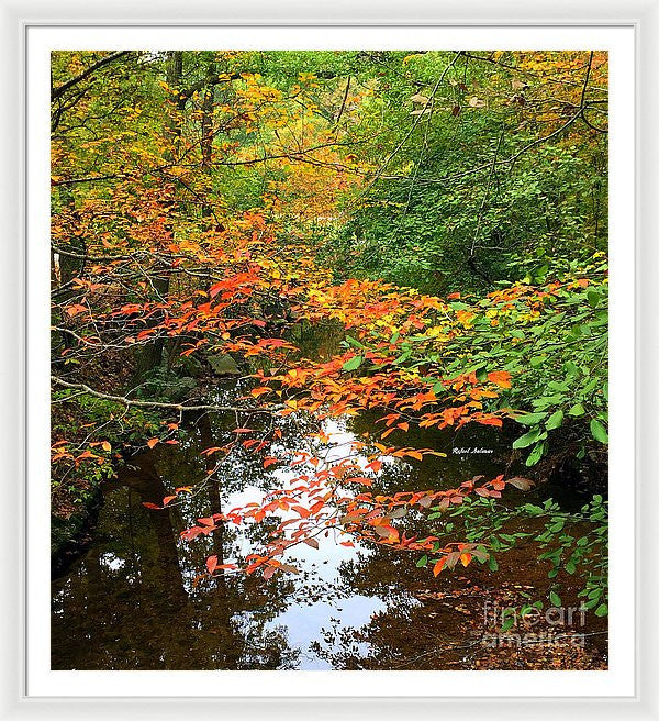 Framed Print - Fall Is In The Air