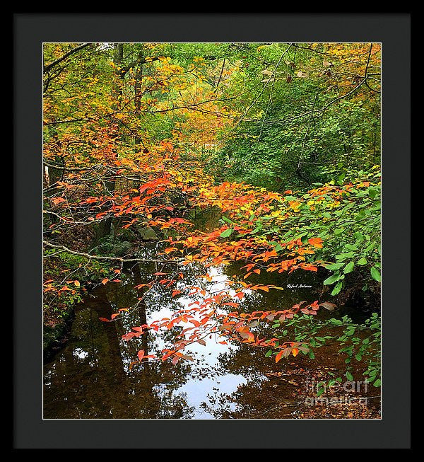 Framed Print - Fall Is In The Air