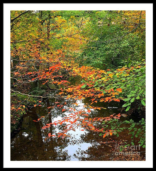 Framed Print - Fall Is In The Air