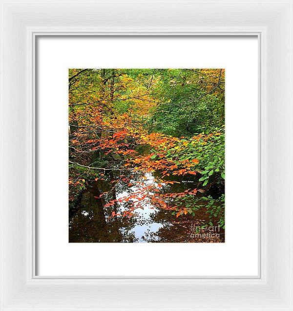 Framed Print - Fall Is In The Air