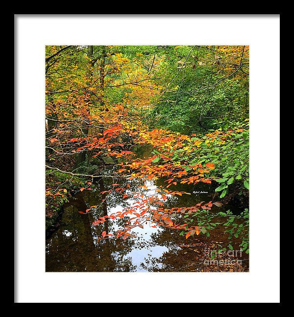 Framed Print - Fall Is In The Air