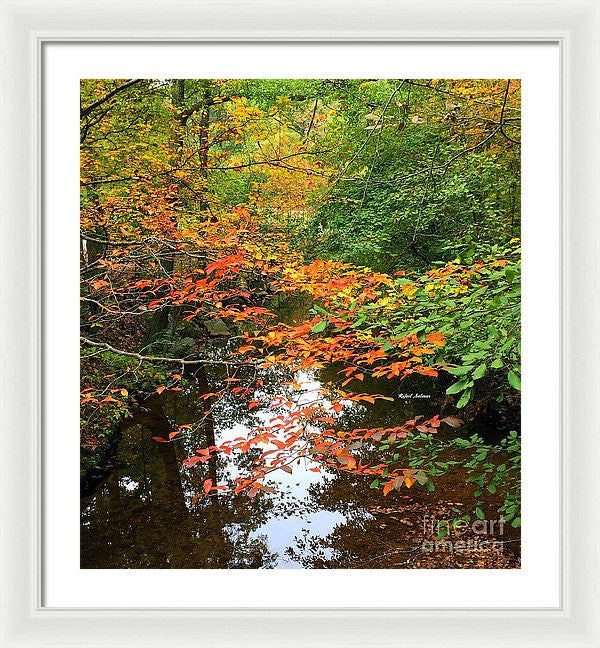 Framed Print - Fall Is In The Air