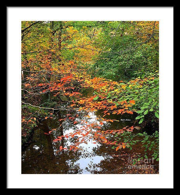 Framed Print - Fall Is In The Air