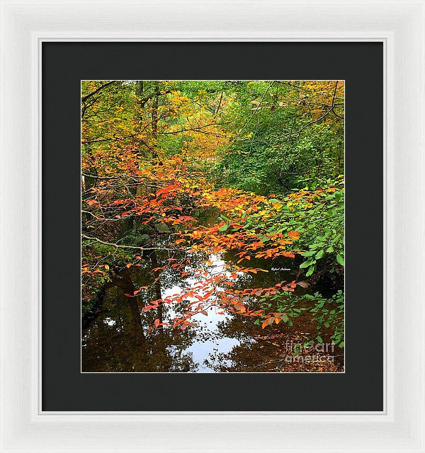 Framed Print - Fall Is In The Air