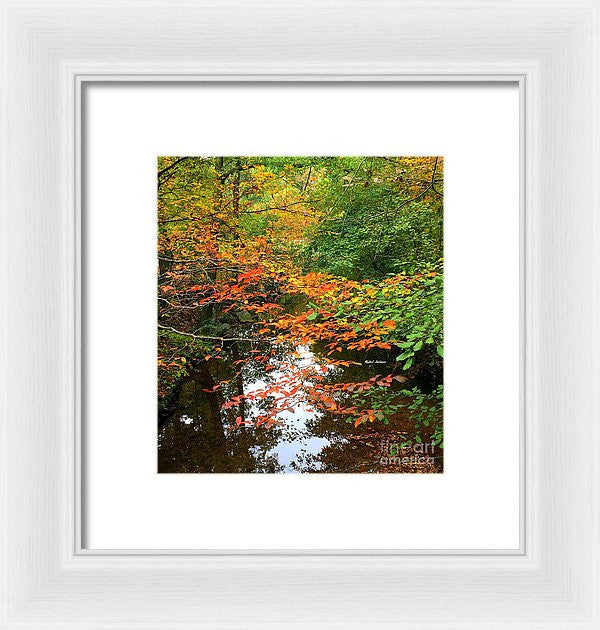 Framed Print - Fall Is In The Air