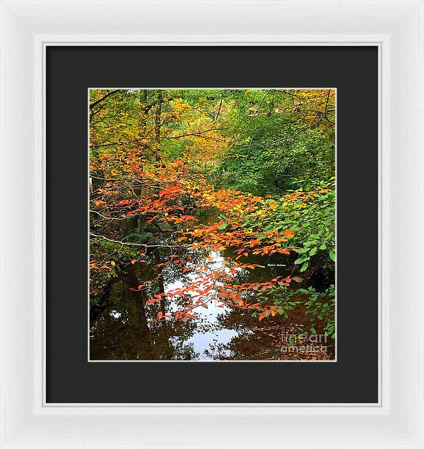 Framed Print - Fall Is In The Air