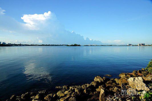 Art Print - Florida Panorama