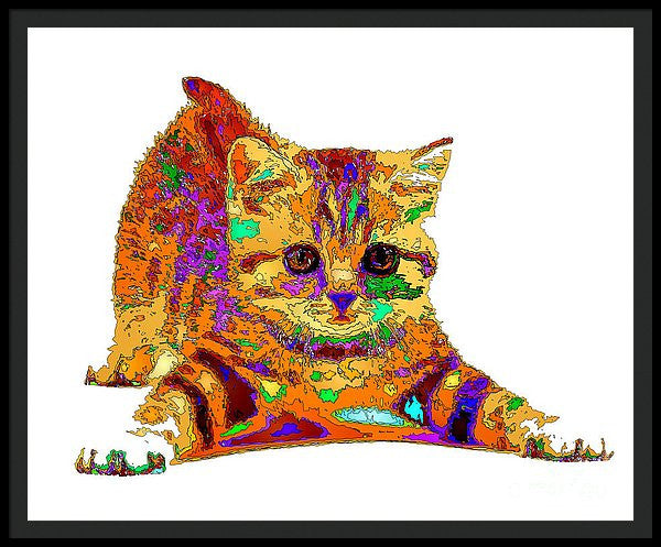 Framed Print - Jelly Bean The Kitty. Pet Series