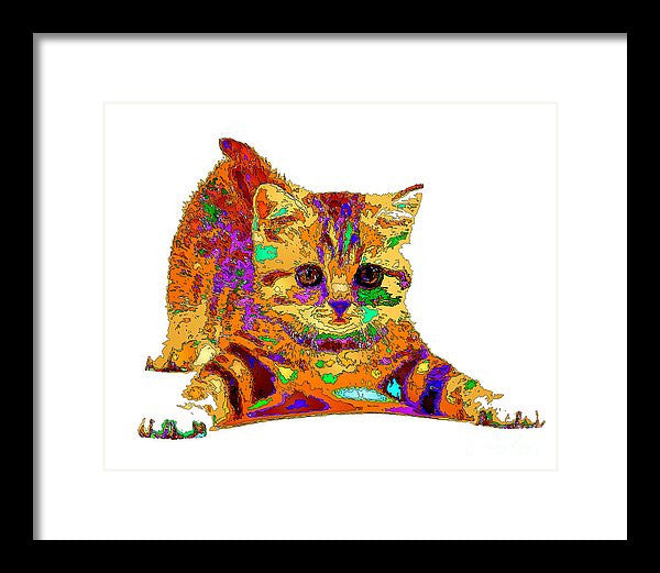 Framed Print - Jelly Bean The Kitty. Pet Series