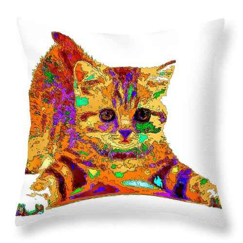 Throw Pillow - Jelly Bean The Kitty. Pet Series