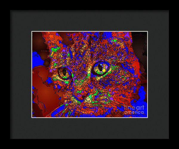 Framed Print - Looking For An Owner. Pet Series