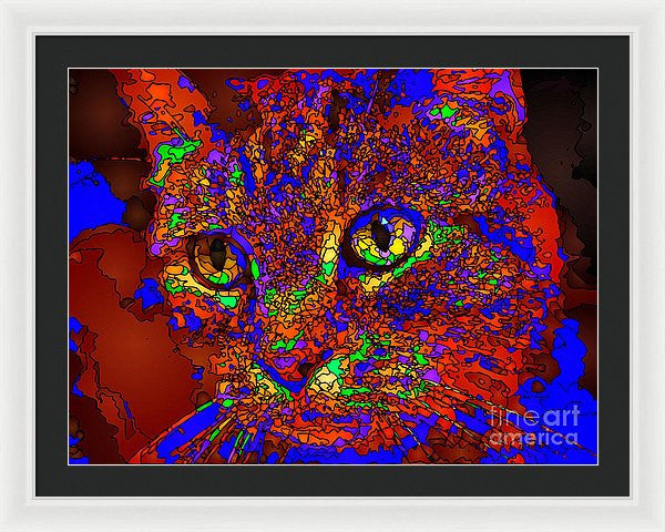 Framed Print - Looking For An Owner. Pet Series