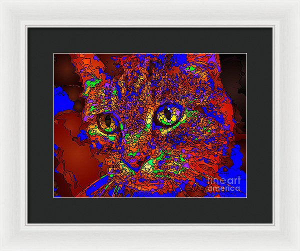 Framed Print - Looking For An Owner. Pet Series