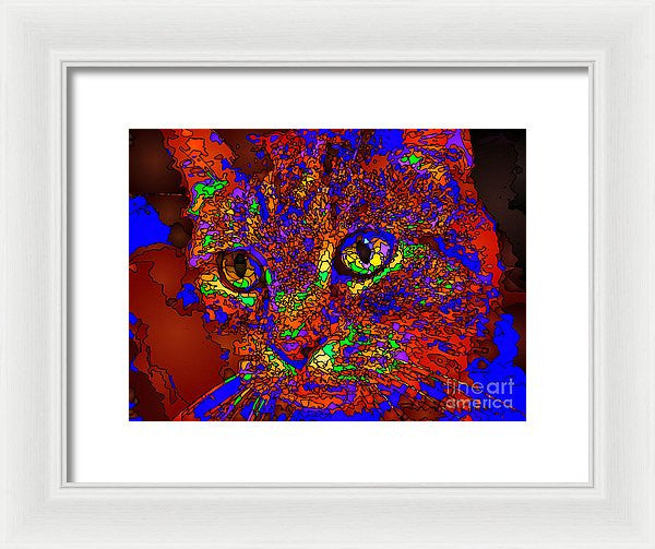 Framed Print - Looking For An Owner. Pet Series