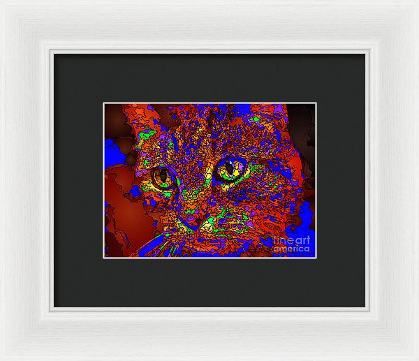 Framed Print - Looking For An Owner. Pet Series