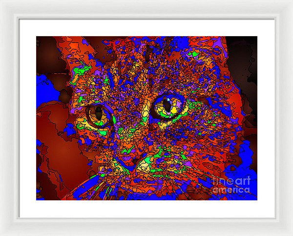 Framed Print - Looking For An Owner. Pet Series