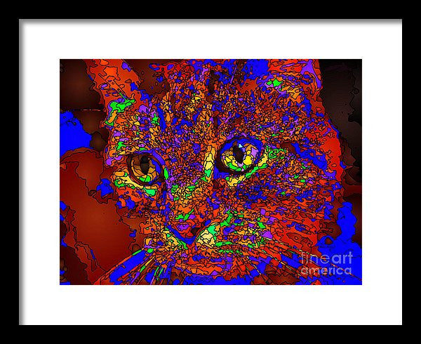 Framed Print - Looking For An Owner. Pet Series