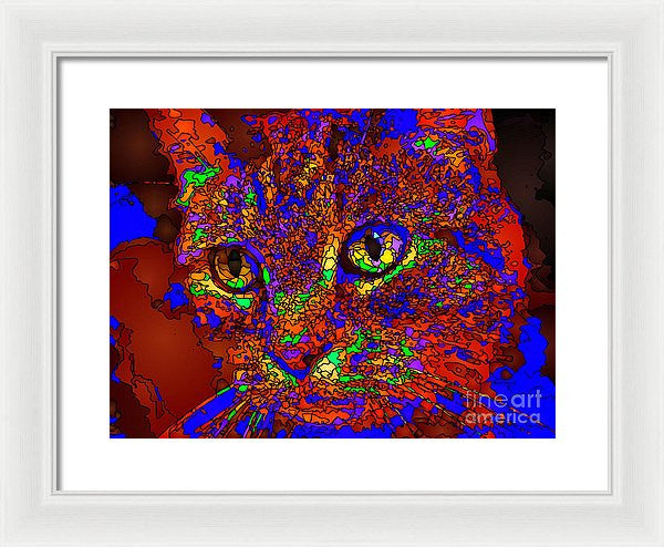 Framed Print - Looking For An Owner. Pet Series