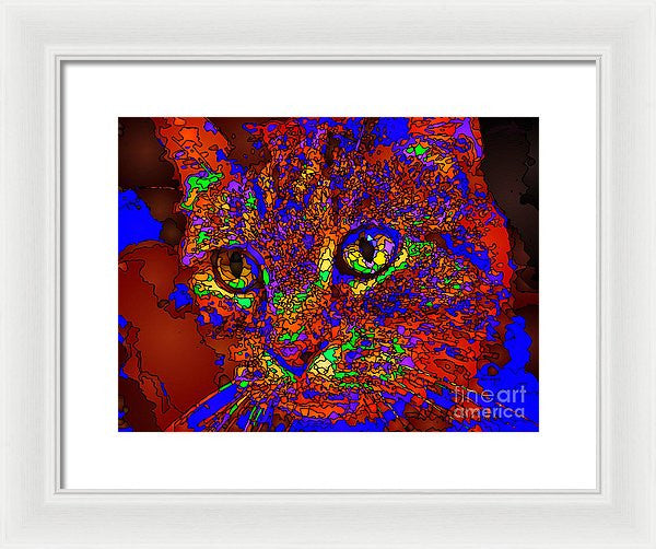 Framed Print - Looking For An Owner. Pet Series