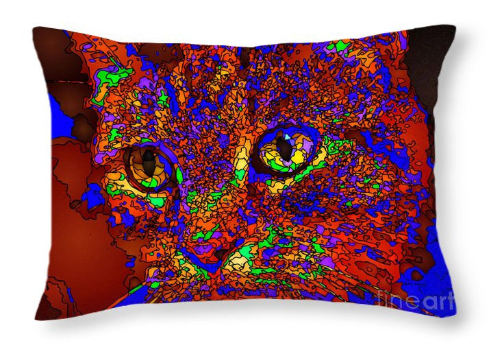 Throw Pillow - Looking For An Owner. Pet Series