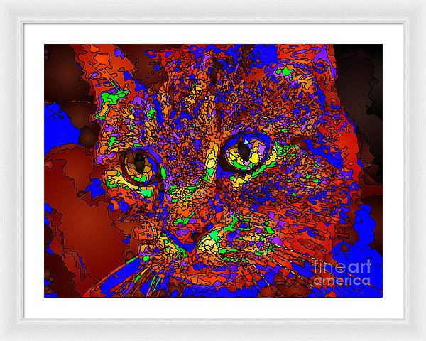 Framed Print - Looking For An Owner. Pet Series