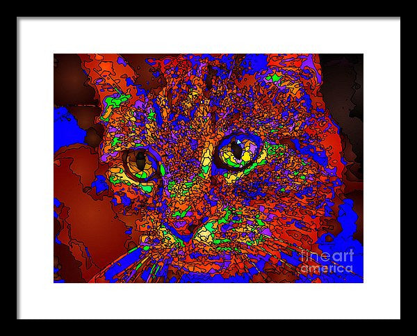 Framed Print - Looking For An Owner. Pet Series