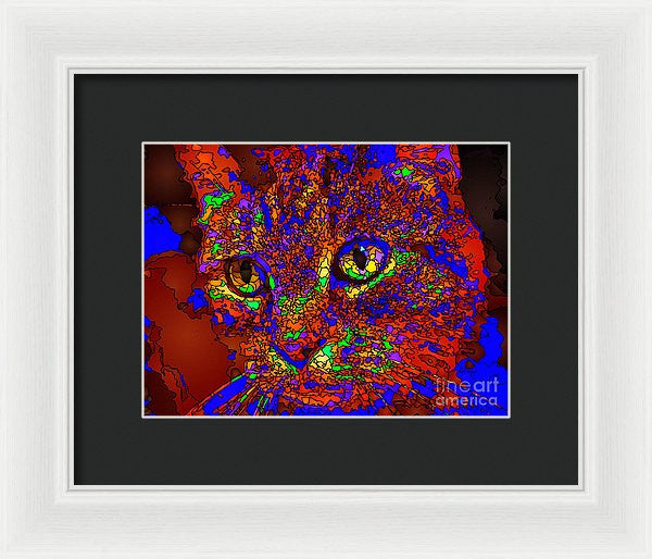 Framed Print - Looking For An Owner. Pet Series