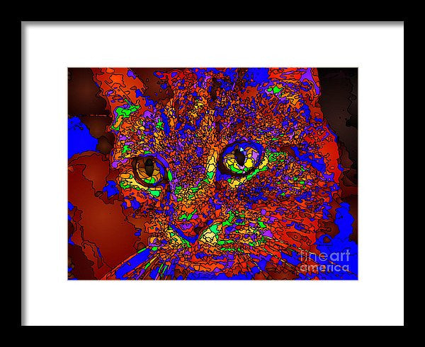 Framed Print - Looking For An Owner. Pet Series