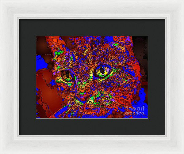 Framed Print - Looking For An Owner. Pet Series