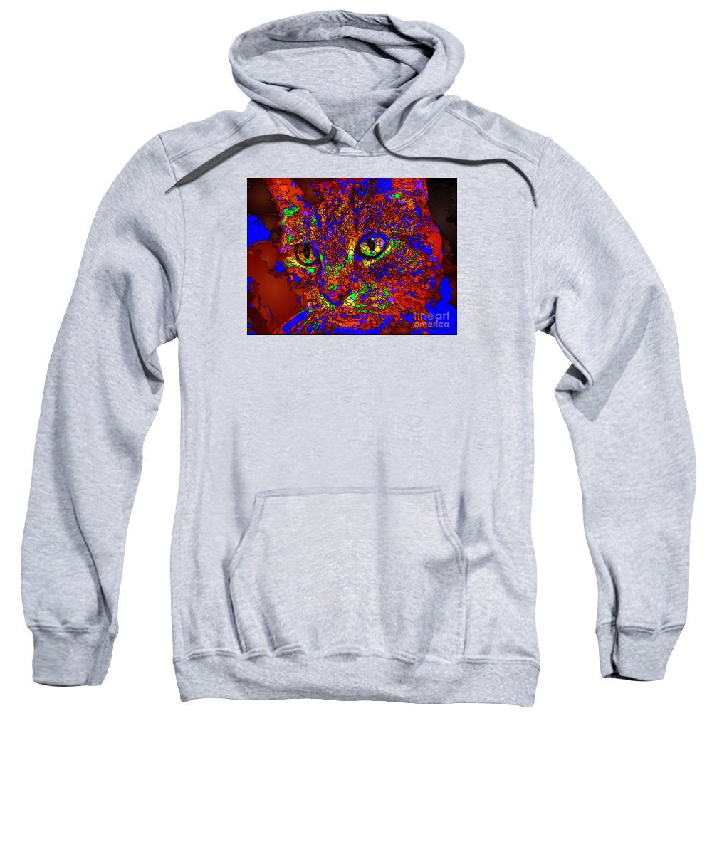 Sweatshirt - Looking For An Owner. Pet Series