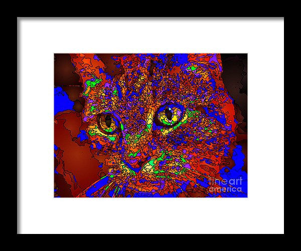 Framed Print - Looking For An Owner. Pet Series