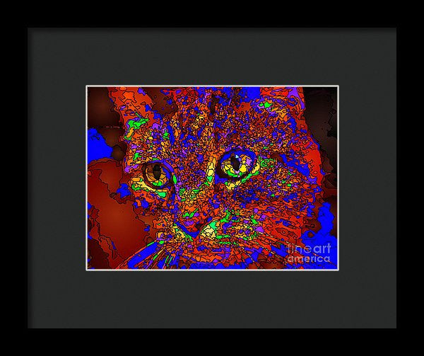 Framed Print - Looking For An Owner. Pet Series