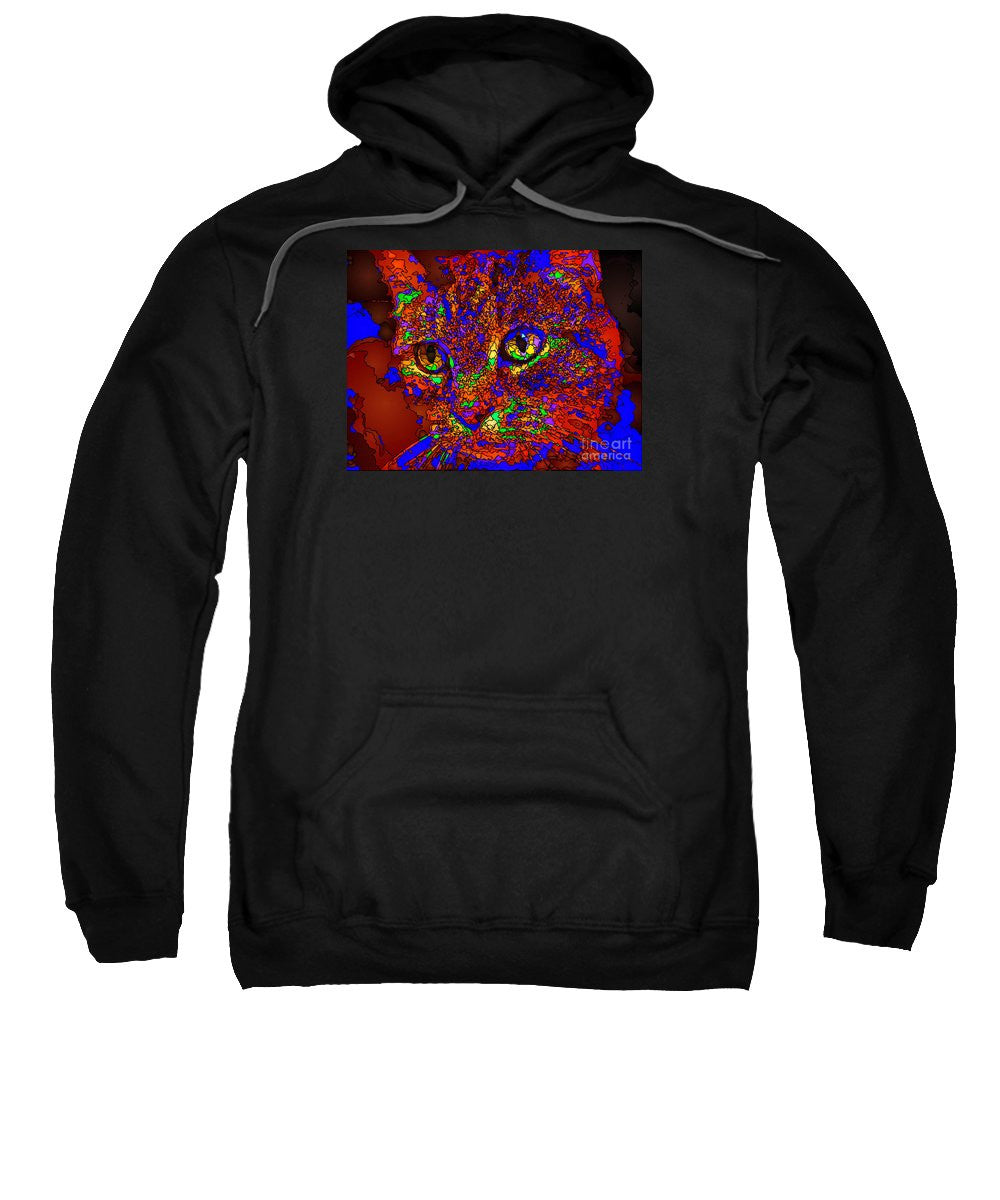 Sweatshirt - Looking For An Owner. Pet Series