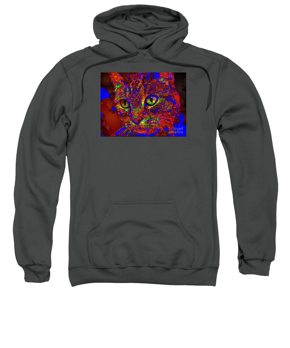 Sweatshirt - Looking For An Owner. Pet Series