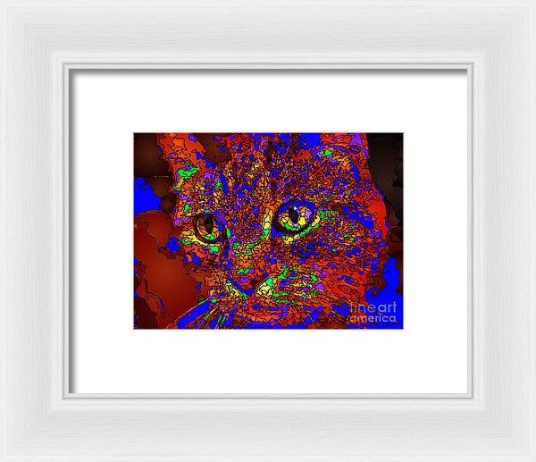 Framed Print - Looking For An Owner. Pet Series