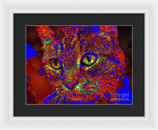 Framed Print - Looking For An Owner. Pet Series