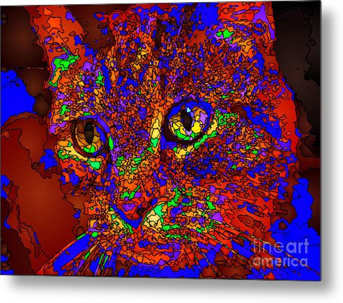 Metal Print - Looking For An Owner. Pet Series