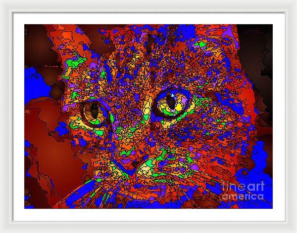 Framed Print - Looking For An Owner. Pet Series