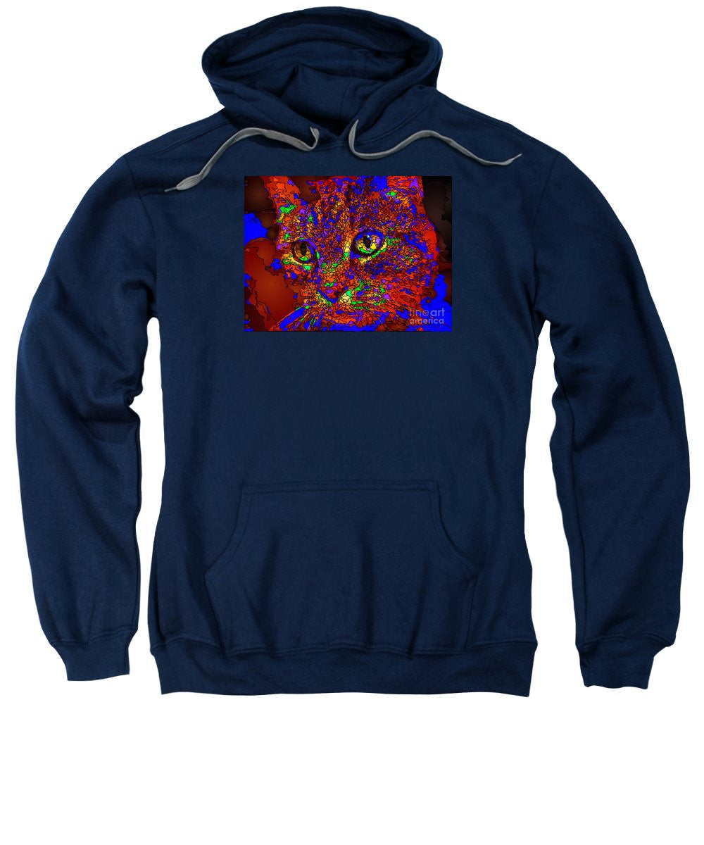 Sweatshirt - Looking For An Owner. Pet Series