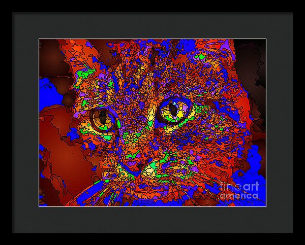 Framed Print - Looking For An Owner. Pet Series