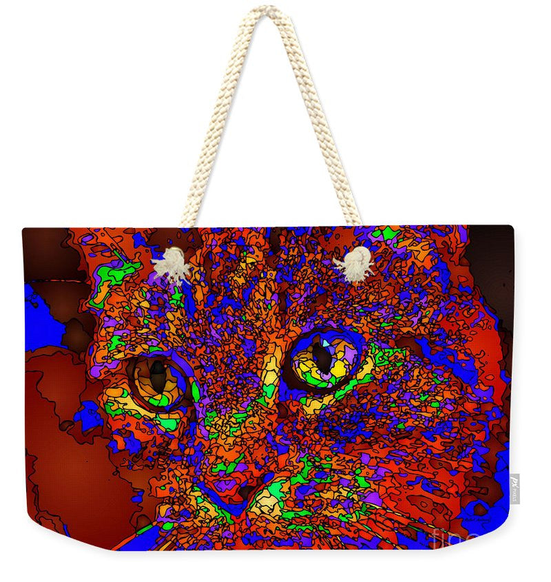 Weekender Tote Bag - Looking For An Owner. Pet Series